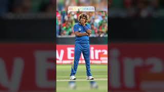 World best Yorker bowler 😲🥶👿 [upl. by Asseralc]