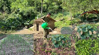 Reclaiming new land alone to plant 3000 vegetable trees in the deep forest  Hoang Thuan TV [upl. by Adda]