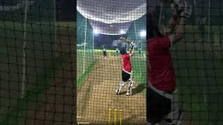 Power Hitting Masterclass Stepping Down for Six in Cricket Nets CricketPowerHittingcricketnets [upl. by Arekahs52]