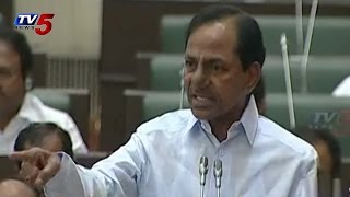 KCR Serious on TDP Leaders in Assembly  TV5 News [upl. by Egide424]