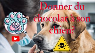 Dr Pattoune 2  Le chocolat et le chien [upl. by Haiasi148]