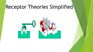 Theories of Receptors Simplified [upl. by Suissac]