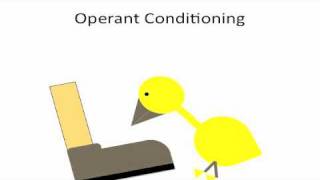 Introduction to Habituation Imprinting and Conditioning [upl. by Ianahs]