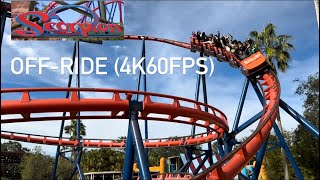 Scorpion OffRide Footage  Busch Gardens Tampa 2023 DEFUNCT [upl. by Atnoed]