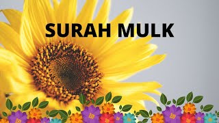 Surah Mulk  11 TIMES WITH NATURAL VIDEOS [upl. by Anaerda]