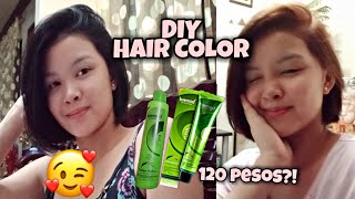 DIY COLOR HAIR AT HOME USING BREMOD [upl. by Ajnat182]