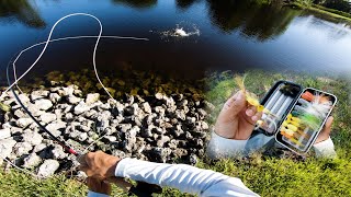 Fly Fishing poppers for Bass in Florida  CRUSHING Gurglers  Streamers [upl. by Pammy228]