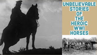 The Unbelievable Horses Heroic WWI Horses  True Stories  Equestrian History [upl. by Heigl]