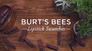 Burts Bees Lipstick swatches [upl. by Yrehcaz499]