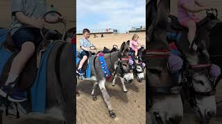 Blackpool Donkeys adventure blackpool donkeys rider subscribemychannel [upl. by Aneda]