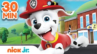 Best of Marshall 🐶 PAW Patrol  30 Minute Compilation  Nick Jr [upl. by Nilra]