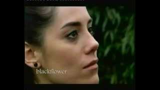 Eysan Ve Ezel لو حتى حيرفضني العالم  YouTubeflv [upl. by Eve]