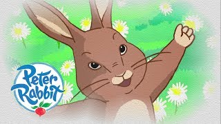 Peter Rabbit  Flopsy Tells a Story  Cartoons for Kids [upl. by Terrell]