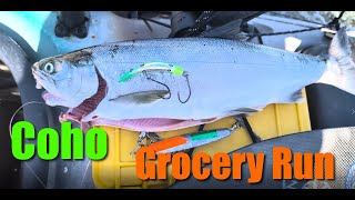 Puget Sound Coho Salmon A Typical Day at Possession Point Kayak Fishing [upl. by Tricia]