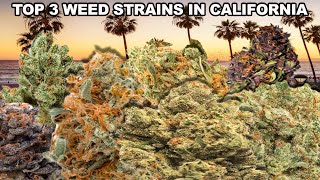 Top 3 Weed Strains in California Must Watch [upl. by Rramaj]