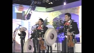 MARIACHI ARRIEROS DE MÉXICO [upl. by Anaiuq]