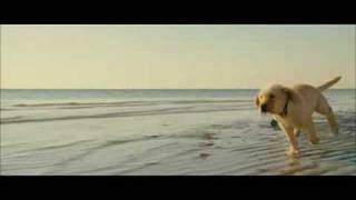 Marley Me 2008  Movie Trailer [upl. by Enileuqcaj]