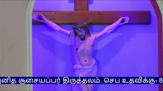 17th Sunday Mass 28 July 2024  Arimalam Shrine Live [upl. by Otrebmal171]