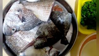 How to cook Simple tastiest stew fish Cocido Catch and Cook [upl. by Connett187]