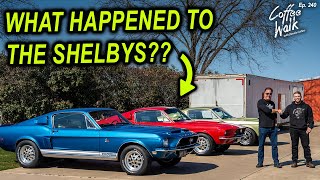 What Happened to the Shelby Mustangs  Restoration Revival Update [upl. by Eiramlatsyrc]