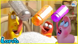 LARVA  NEW CARTOON COMEDY 2025 👍 THE BEST OF CARTOON 🍟 CARTOON MOVIE FOR LIFE [upl. by Atwater159]