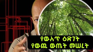 Dr Mehret Debebe  100 days  100 wisdom  Day 72  The Root determines the Fruit [upl. by Asaert]