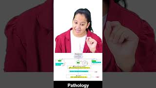 1 minute learning Streptococcus Classification [upl. by Ursulette]