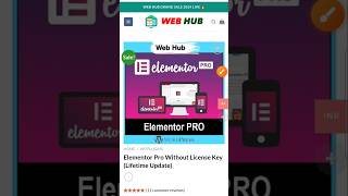 Elementor Pro Buy Only Rs 199  Elementor Pro Latest Version Download [upl. by Atteniuq]