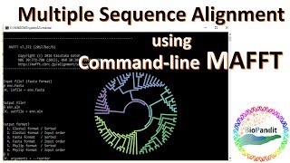 Multiple Sequence Alignment using MAFFT [upl. by Lempres]