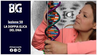 La DOPPIA ELICA del DNA  Erwin Chargaff Rosalind Franklin James Watson e Francis Crick [upl. by Rayna]