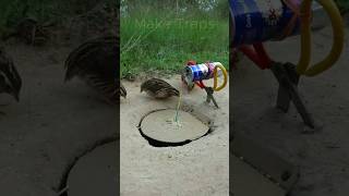 Creative DIY Bird Trap  Quail Trap shorts  Make Traps [upl. by Wenger]