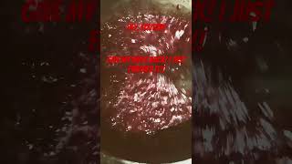 Made a video of me making blueberry puree for my ice cream and it deleted it before I could post ￼ [upl. by Byrle]