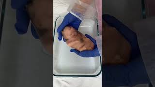 baby birth with placenta fullbodysilicone reborn newborn siliconedoll preemie premature [upl. by Inatsed]