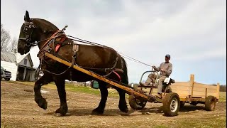 Can you run a Farm with just ONE Draft Horse [upl. by Zeus]