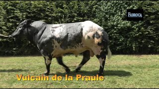 Vulcain de la Praule [upl. by Tratner]