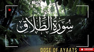 65 SURAH TALAQ JUST URDU TRANSLATION  DOSE OF AYAATS [upl. by Eve]