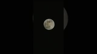 Samsung Galaxy S23 FE Moon Zoom Test S23 fe 30x Zoom Test Camera Test shorts youtube content [upl. by Alyahsal]