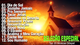 Dia de Sol Sozinho Jamais  Os mais lindos Hinos Evangelicos sucessos gospel [upl. by Rusel]