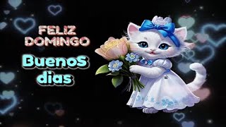 Feliz domingo familia y amigos💐💌 Mensaje y saludos de buenos días😍 Frases con imágenes y gif bonitos [upl. by Linnell]