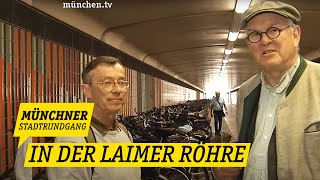 In der Laimer Röhre [upl. by Aenil]