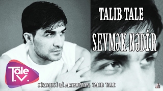 Talıb Tale  Sevmək Nədir [upl. by Haelak]