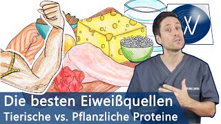 Die besten Eiweißquellen für Muskelaufbau amp Immunsystem Pflanzliche vs tierische Proteinquellen [upl. by Stillmann414]