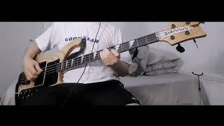 IDLES  GRACE Bass Cover [upl. by Nassi]