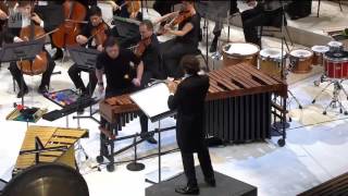 Kalevi Aho  Sieidi Concerto for Percussion and Orchestra [upl. by Etnaik69]