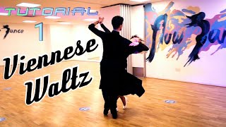 Viennese Waltz Lesson  How to dance Natural amp Reverse Turns  Footwork amp Technique for Beginners [upl. by Breh565]