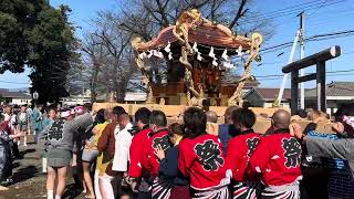 群馬県伊勢崎市波志江愛宕神社67年ぶりの神輿渡御2024113 [upl. by Eilerua595]