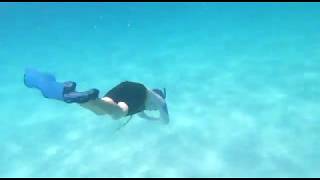 Free Diving in Pulau Perhentian [upl. by Attem]