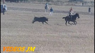 Encierro Loranca de Tajuña 150924 [upl. by Hendren]