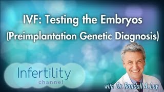 IVF Testing the Embryos Preimplantation Genetic Diagnosis [upl. by Ahsimik]