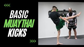 Muay Thai Fundamentals  Basic Kicks [upl. by Hannaj249]